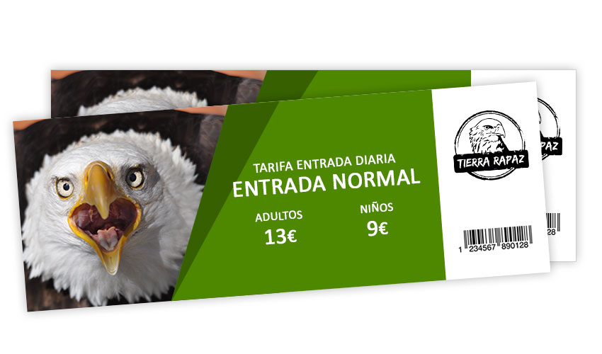 entrada normal tierra rapaz 2018