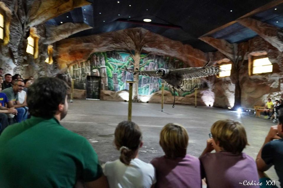 Gruta de los búhos