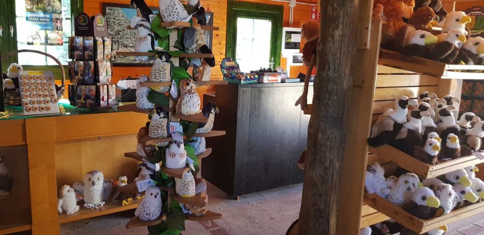 tienda regalos tierra rapaz