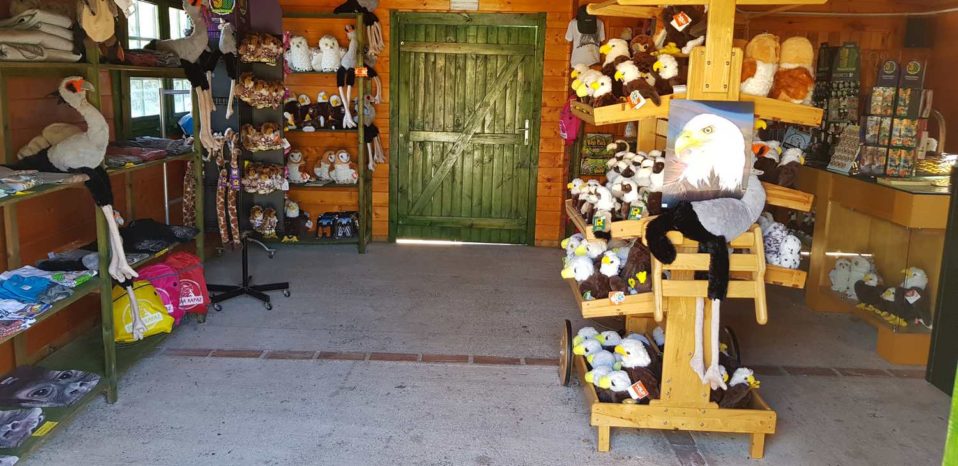 tienda regalos tierra rapaz