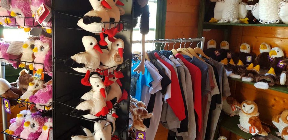 tienda regalos tierra rapaz