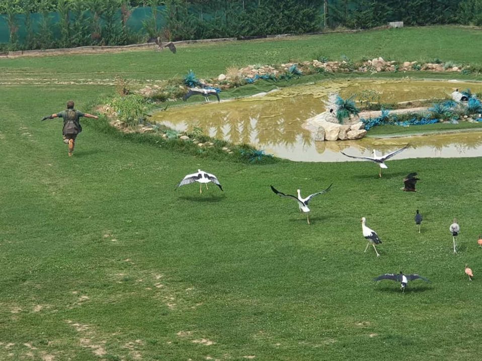 Exhibiciones Tierra Rapaz
