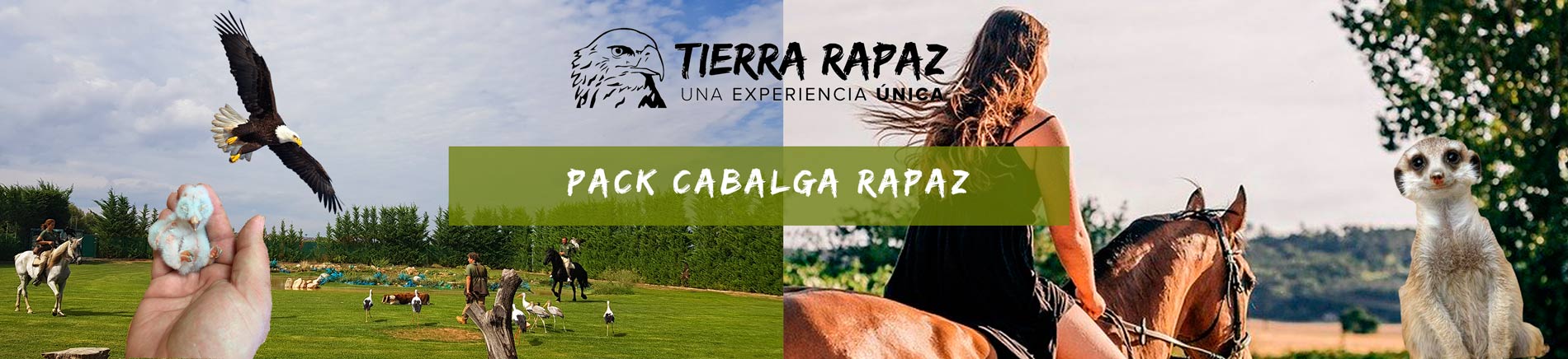 Packs cabalga-rapaz