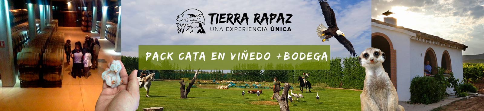 Packs Bodega y viñedo