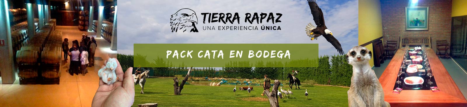 Packs Bodega