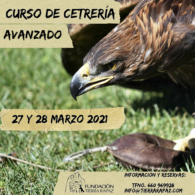 CARTEL CETRERIAAVANZADOfebrero2021