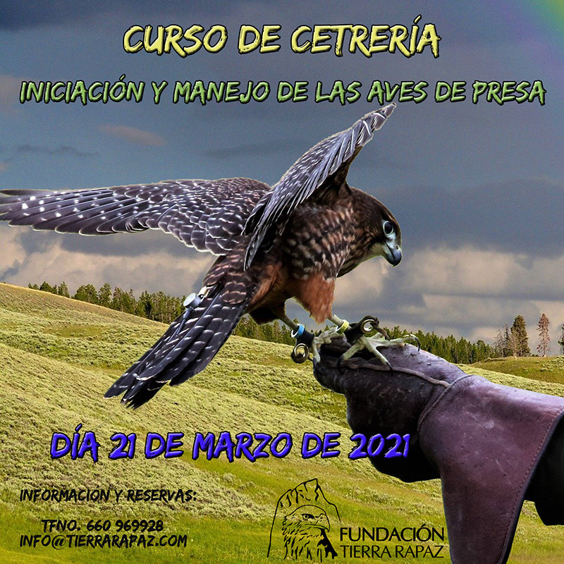 CARTEL CETRERI BASICO febrero2021