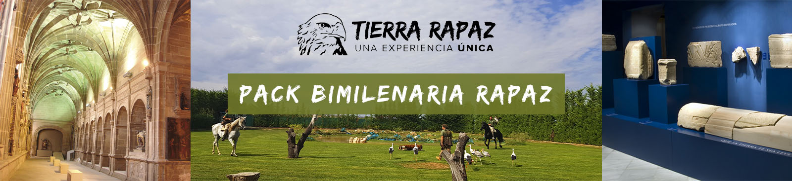 Pack Bimilenaria Rapaz