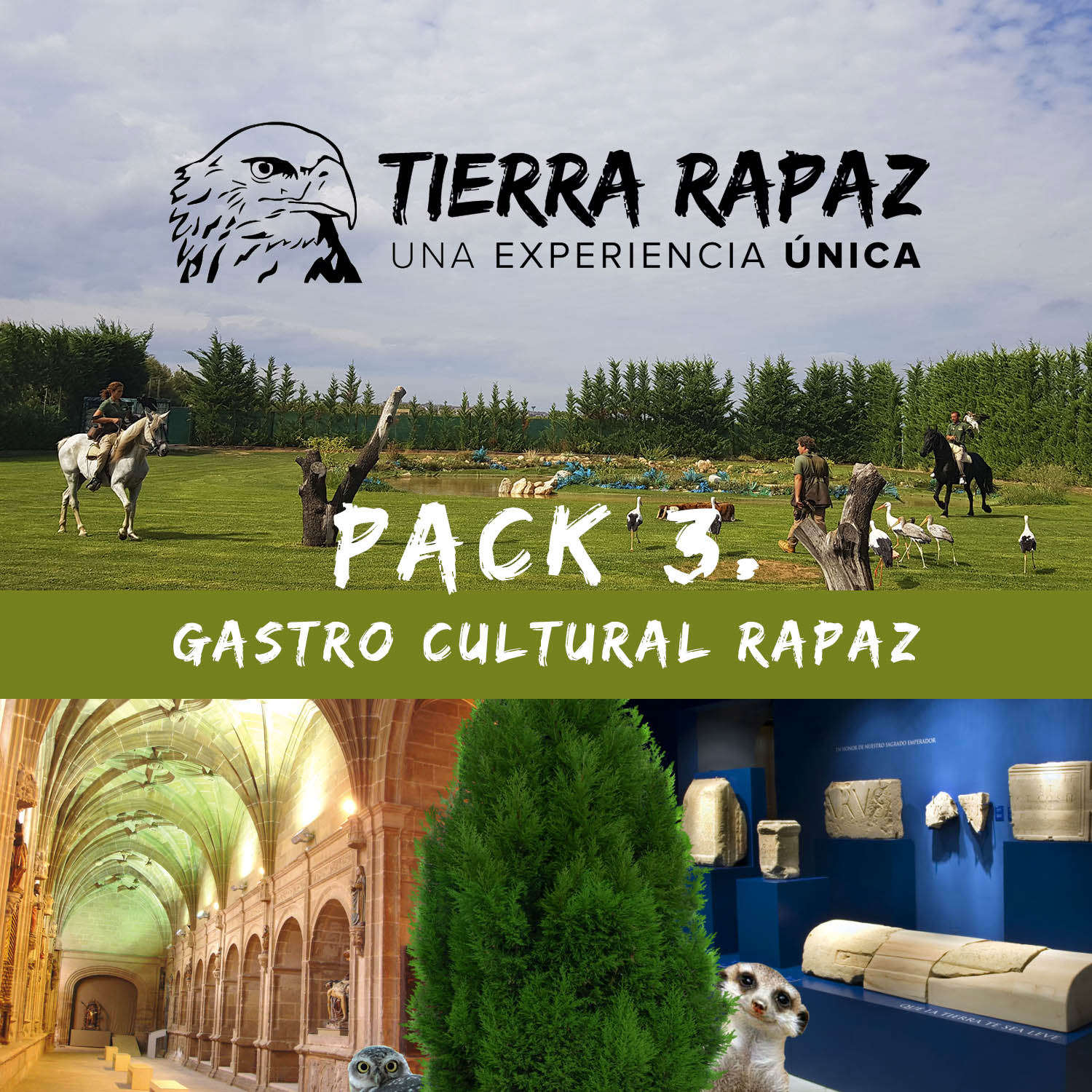 Pack Gastro Cultural Rapaz