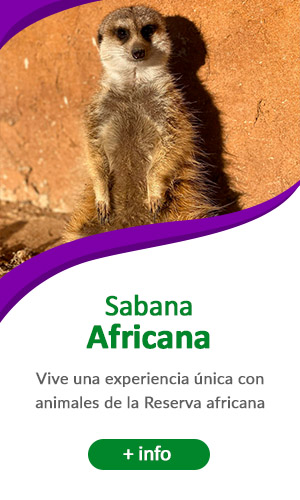 Sabana africana
