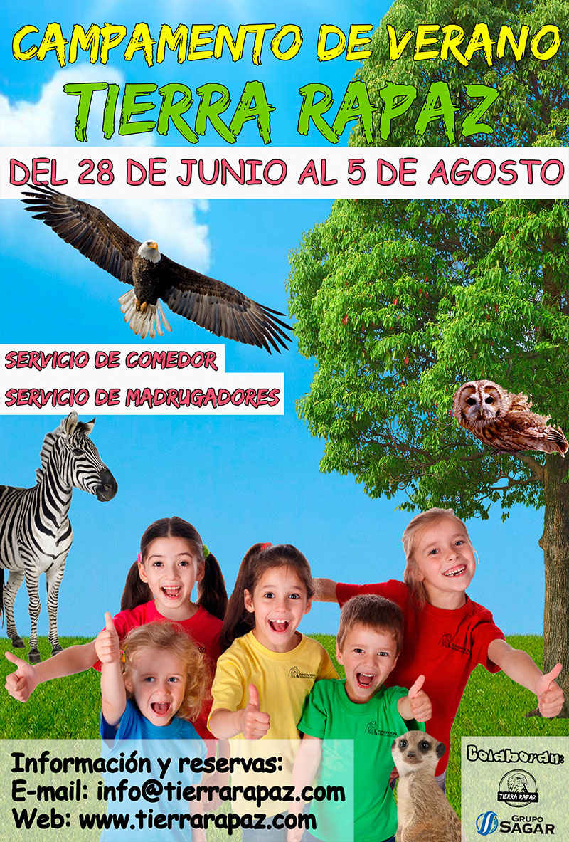 campamento-verano-2022-cartel