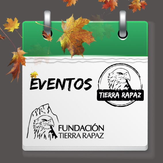 Eventos Tierra Rapaz otoño