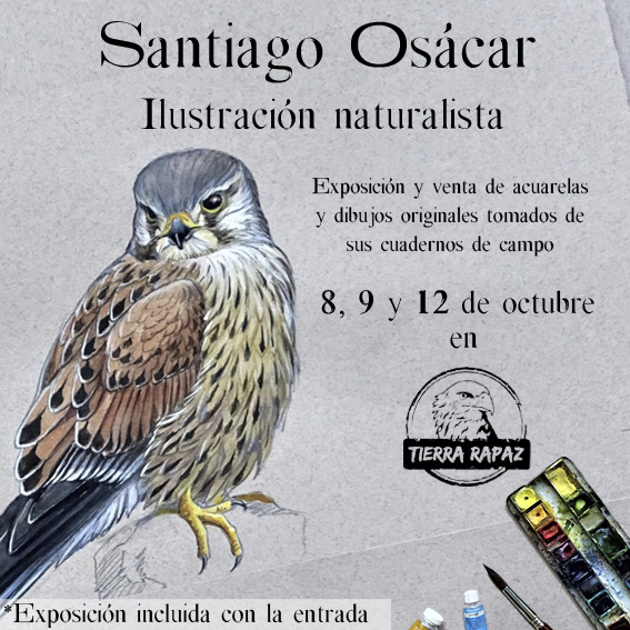 Exposición pintura Santiago Osácar