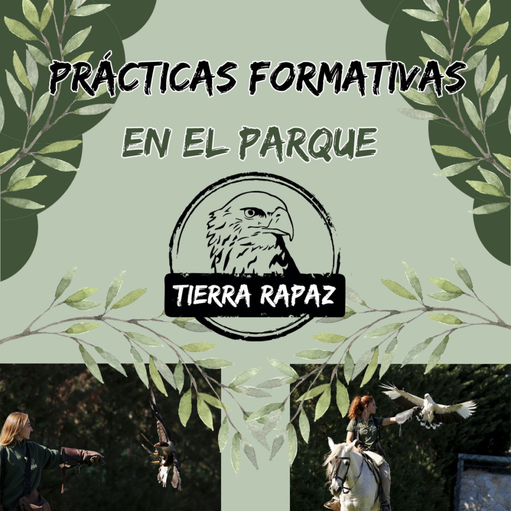 Prácticas formativas Tierra Rapaz