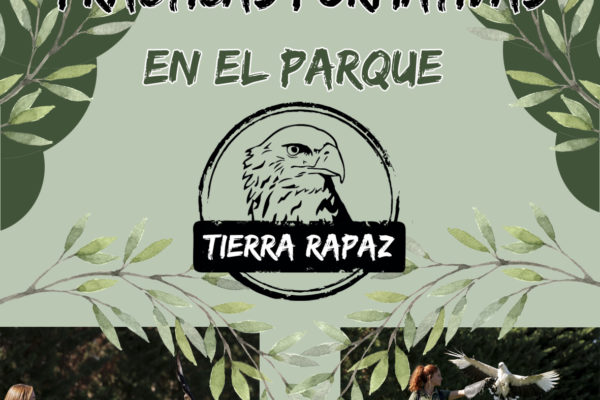 Prácticas formativas Tierra Rapaz