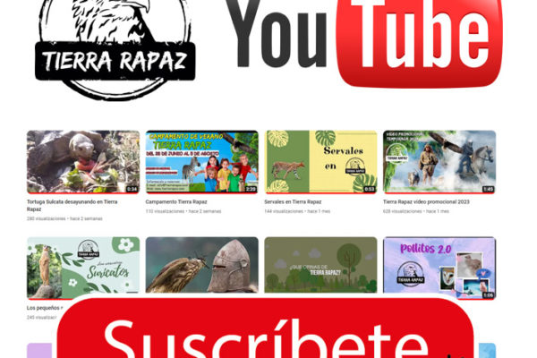 Conoces el canal Tierra Rapaz en Youtube