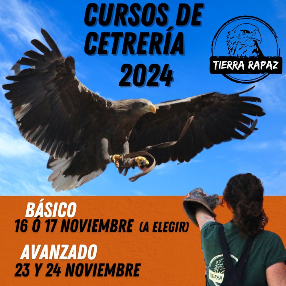 Cursos de cetrería 2024